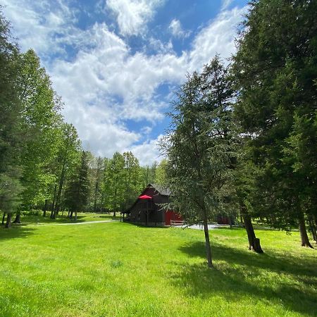 Shadow Mountain Escape Cabin Rentals Luray Extérieur photo